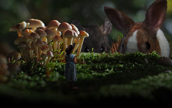 Watchers (surreal landscape)