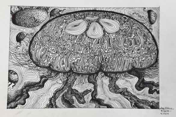 - (Fall 2024 project)